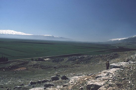bekaa.jpg